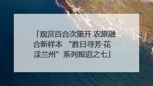 观赏百合次第开 农旅融合新样本 “胜日寻芳·花漾兰州”系列报道之七