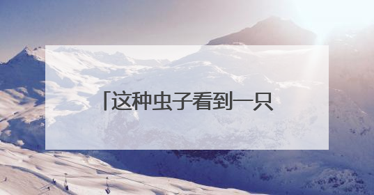 这种虫子看到一只家里很可能有一万只，除虫攻略→