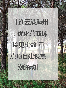 连云港海州：优化营商环境见实效 重点项目建设热潮涌动