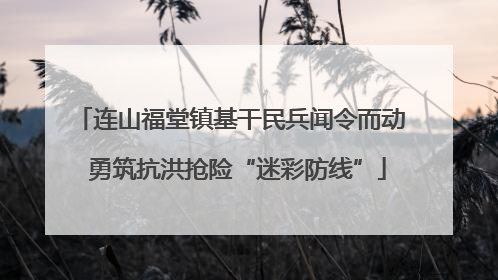 连山福堂镇基干民兵闻令而动  勇筑抗洪抢险“迷彩防线”
