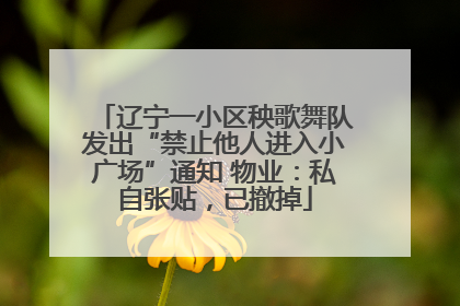 辽宁一小区秧歌舞队发出“禁止他人进入小广场”通知 物业：私自张贴，已撤掉