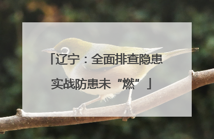 辽宁：全面排查隐患 实战防患未“燃”