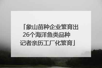 象山苗种企业繁育出26个海洋鱼类品种 记者亲历工厂化繁育