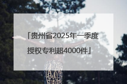 贵州省2025年一季度授权专利超4000件