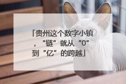 贵州这个数字小镇，“链”就从“0”到“亿”的跨越