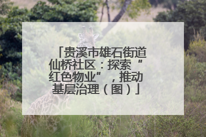 贵溪市雄石街道仙桥社区：探索“红色物业”，推动基层治理（图）
