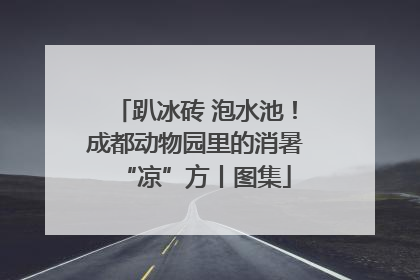 趴冰砖 泡水池！成都动物园里的消暑“凉”方丨图集