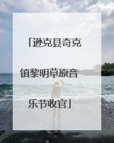 逊克县奇克镇黎明草原音乐节收官