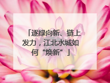 逐绿向新、链上发力，江北水城如何“焕新”
