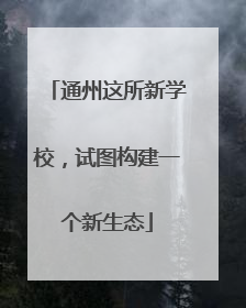 通州这所新学校，试图构建一个新生态