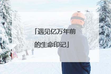 遇见亿万年前的生命印记