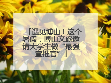 遇见博山！这个暑假，博山文旅邀请大学生做“最强宣推官”