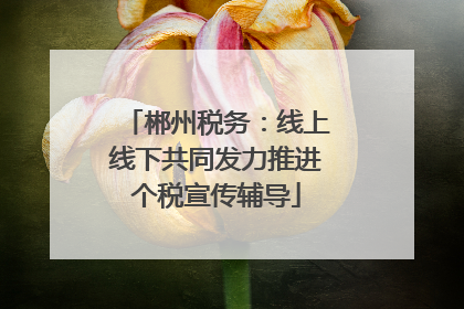 郴州税务：线上线下共同发力推进个税宣传辅导