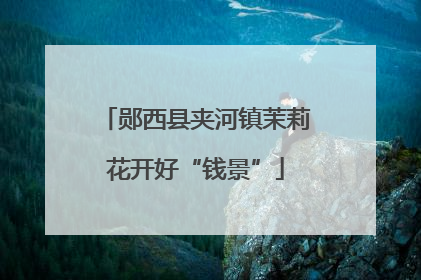 郧西县夹河镇茉莉花开好“钱景”