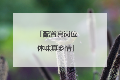 配置真岗位 体味真乡情