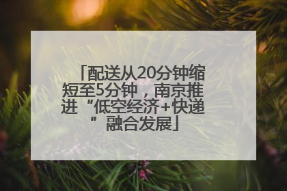 配送从20分钟缩短至5分钟，南京推进“低空经济+快递”融合发展