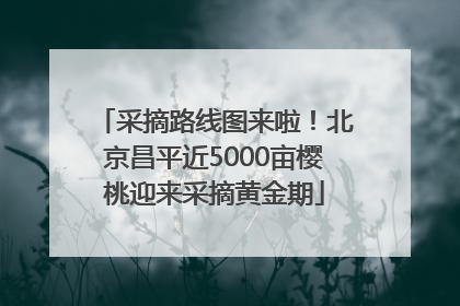 采摘路线图来啦！北京昌平近5000亩樱桃迎来采摘黄金期