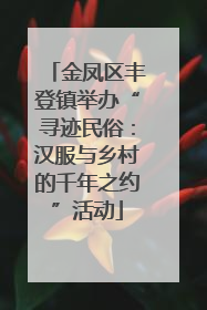 金凤区丰登镇举办“寻迹民俗：汉服与乡村的千年之约”活动