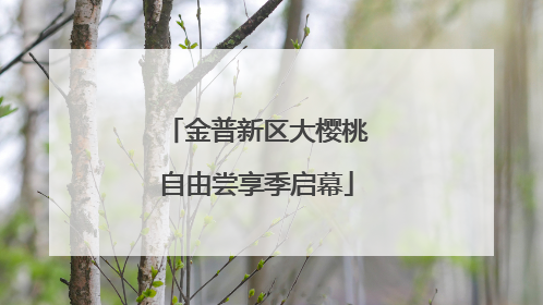 金普新区大樱桃自由尝享季启幕