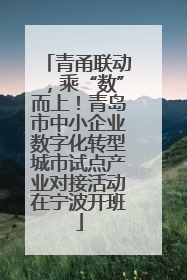 青甬联动，乘“数”而上！青岛市中小企业数字化转型城市试点产业对接活动在宁波开班