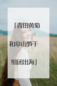 青田黄菊和阜山笋干组团出海