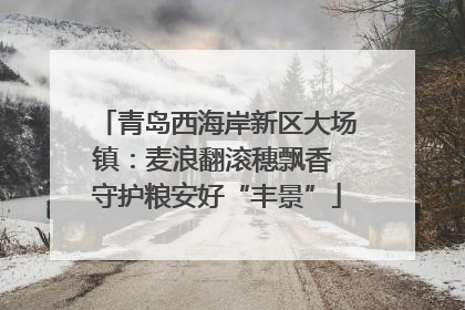 青岛西海岸新区大场镇：麦浪翻滚穗飘香 守护粮安好“丰景”
