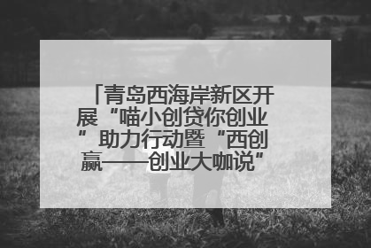 青岛西海岸新区开展“喵小创贷你创业”助力行动暨“西创赢——创业大咖说”主题活动