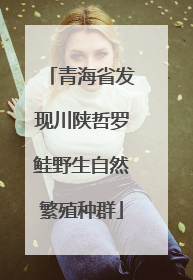 青海省发现川陕哲罗鲑野生自然繁殖种群