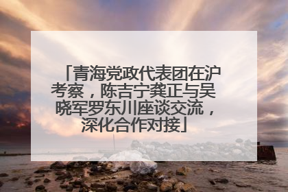 青海党政代表团在沪考察，陈吉宁龚正与吴晓军罗东川座谈交流，深化合作对接