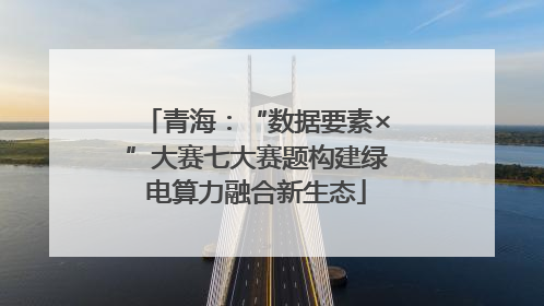 青海：“数据要素×”大赛七大赛题构建绿电算力融合新生态