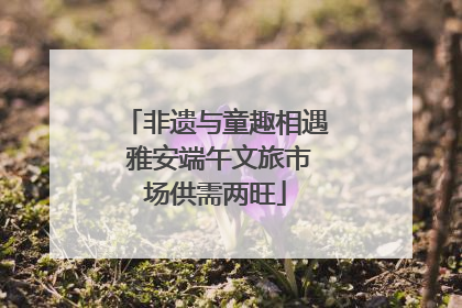 非遗与童趣相遇 雅安端午文旅市场供需两旺
