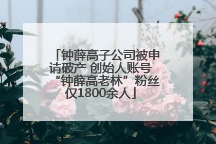 钟薛高子公司被申请破产 创始人账号“钟薛高老林”粉丝仅1800余人