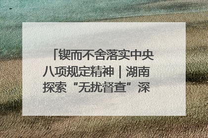 锲而不舍落实中央八项规定精神｜湖南探索“无扰督查”深化基层减负