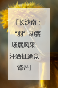 长沙南：“羽”动赛场展风采 汗洒征途竞锋芒