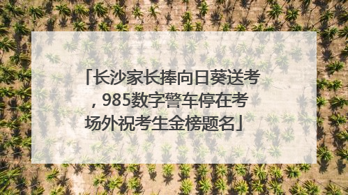长沙家长捧向日葵送考，985数字警车停在考场外祝考生金榜题名