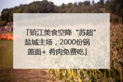 镇江美食空降“苏超”盐城主场，2000份锅盖面+ 肴肉免费吃