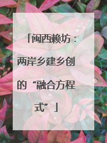 闽西赖坊：两岸乡建乡创的“融合方程式”