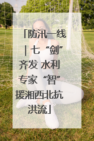 防汛一线｜七“剑”齐发 水利专家“智”援湘西北抗洪流