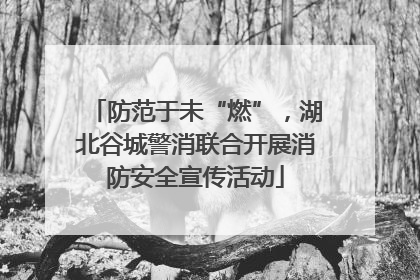 防范于未“燃”，湖北谷城警消联合开展消防安全宣传活动