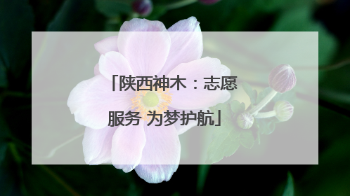 陕西神木：志愿服务 为梦护航