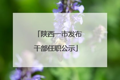 陕西一市发布干部任职公示