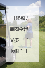 隆福寺商圈今起又多一“网红”
