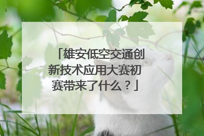 雄安低空交通创新技术应用大赛初赛带来了什么？
