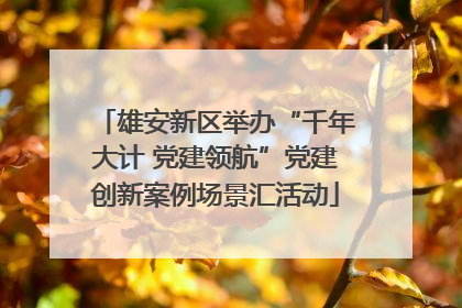 雄安新区举办“千年大计 党建领航”党建创新案例场景汇活动