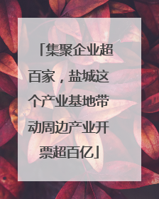 集聚企业超百家，盐城这个产业基地带动周边产业开票超百亿