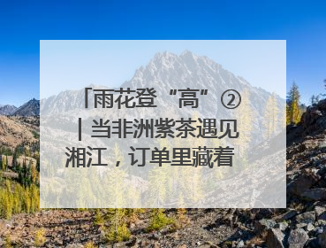 雨花登“高”②｜当非洲紫茶遇见湘江，订单里藏着共富密码