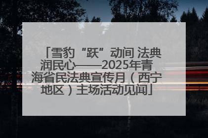 雪豹“跃”动间 法典润民心——2025年青海省民法典宣传月（西宁地区）主场活动见闻