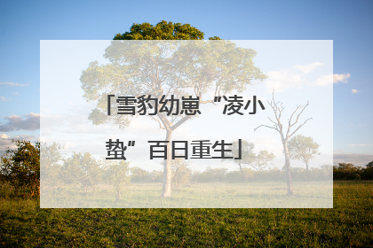 雪豹幼崽“凌小蛰”百日重生