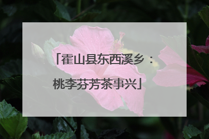 霍山县东西溪乡：桃李芬芳茶事兴