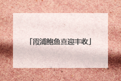 霞浦鲍鱼喜迎丰收